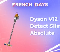 Dyson V12