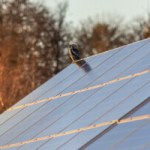 Comment estimer le rendement et la production de vos futurs panneaux solaires Comment estimer le rendement et la production de vos futurs panneaux solaires