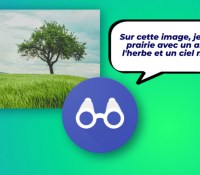 Via la fonction Image Q&A de l'application Google Lookout, on peut discuter avec une IA pour lui demander de décrire une image