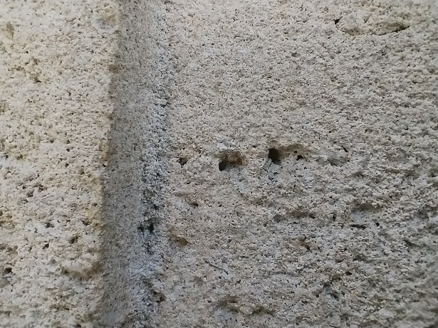 Redmi Note 12 5G macro (6)