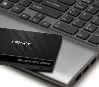 PNY-CS900-120go-sataIII