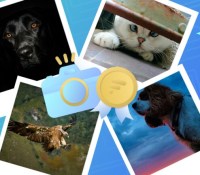 Copie de Concours Photo Frandroid (2)