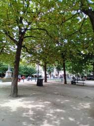 Galaxy A14 4G photos test  (24)