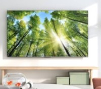 TCL - 85P731