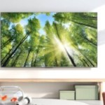 Ce TV 4K TCL immense de 85 pouces se négocie à un prix bien bas Ce TV 4K TCL immense de 85 pouces se négocie à un prix bien bas