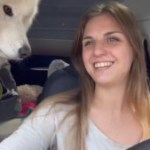 Elle vit dans une Tesla Model Y avec son chien et son chat Elle vit dans une Tesla Model Y avec son chien et son chat