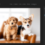 Windows 11 : l’application Photos évolue enfin avec ces 2 nouveautés inspirées des smartphones