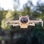 Test du DJI Mini 4 Pro : image au top et pilotage pour tous