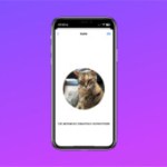 La meilleure nouveauté d&rsquo;iOS 17 est là : vous pouvez taguer vos animaux, voici comment faire
