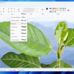 Paint va s&rsquo;offrir une fonctionnalité digne des meilleurs logiciels de retouche