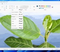 Microsoft Paint