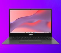 Asus Chromebook CM1402C