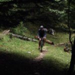 Proche des 10 kg, ce vélo électrique polyvalent s’adapte aussi bien à la ville qu’au chemin Proche des 10 kg, ce vélo électrique polyvalent s’adapte aussi bien à la ville qu’au chemin