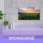 Un téléviseur QLED 4K à moins de 350 € ? C’est la magie du Black Friday Un téléviseur QLED 4K à moins de 350 € ? C’est la magie du Black Friday