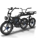 Ce tandem électrique à trois roues impressionne par sa polyvalence Ce tandem électrique à trois roues impressionne par sa polyvalence