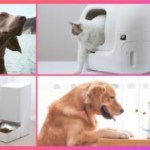 Objets connectés tech animaux Frandroid