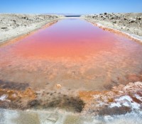 Salton Sea