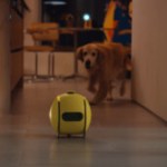 Samsung Ballie : à quoi sert ce nouveau robot domestique