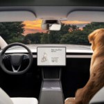 Bonne nouvelle : la fonctionnalité la plus bluffante de Tesla pourrait enfin arriver en Europe Bonne nouvelle : la fonctionnalité la plus bluffante de Tesla pourrait enfin arriver en Europe