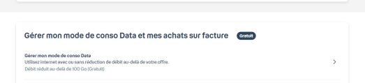 Bouygues Telecom eviter le hors forfait Internet (2)