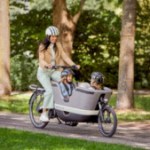 Ce vélo électrique est l’un des premiers à intégrer la batterie XXL de Bosch, en plus d’un ABS Ce vélo électrique est l’un des premiers à intégrer la batterie XXL de Bosch, en plus d’un ABS