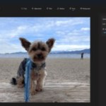 Windows 10 et 11 vont hériter d’une fonctionnalité photo phare de nos smartphones Windows 10 et 11 vont hériter d’une fonctionnalité photo phare de nos smartphones