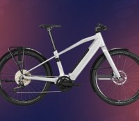 Canyon PrecedeON 5