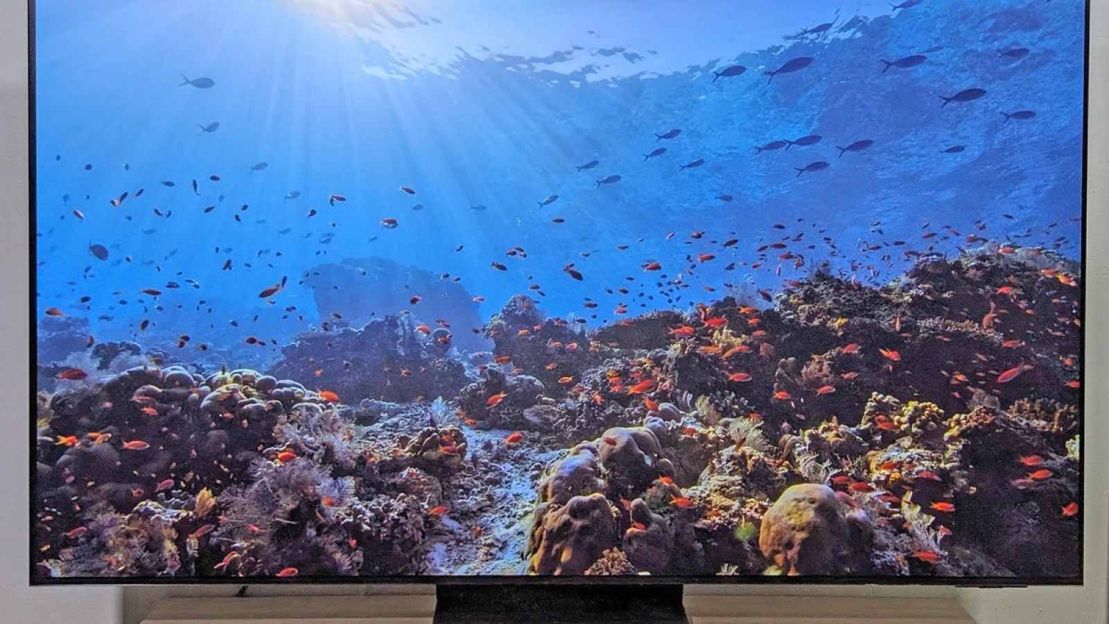 Meilleur TV 75 pouces 4K en 2026 : notre sélection OLED et Mini-LED