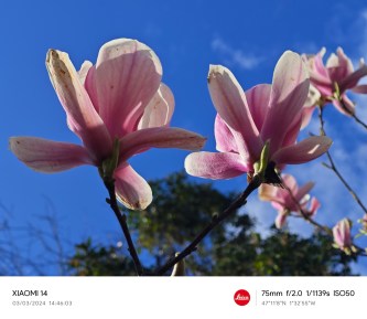 Xiaomi 14  - Frandroid - IMG_20240303_144603