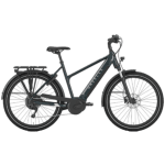Gazelle Medeo T10 HMB Gazelle Medeo T10 HMB