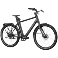 Lidl Crivit Urban E-Bike X.2
