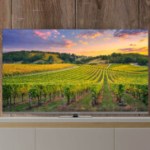 Pas besoin de se ruiner avec ce grand TV QLED 4K de 65&Prime; (HDMI 2.1) en promo à moins de 500 €