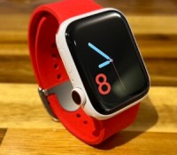 Apple Watch // Source : @StellaFudge via X