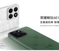 Honor 60 Plus // Source : Honor