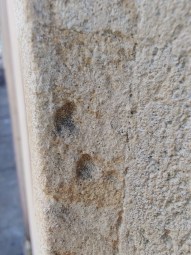 honor-200-pro-mode-macro-4