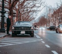 leon-seibert-o9VC9GD5D5g-unsplash