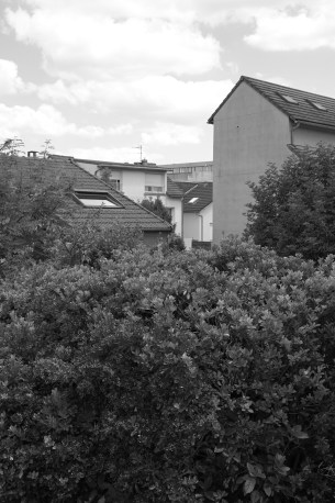 Nikon-Zf-monochrome flat