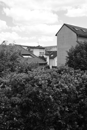 Nikon-Zf-monochrome