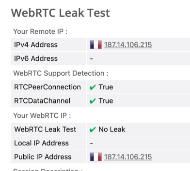NordVPN WebRTC leak test