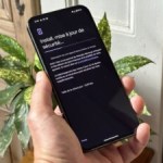 Les Pixel 9 de Google reçoivent leur première mise à jour Les Pixel 9 de Google reçoivent leur première mise à jour