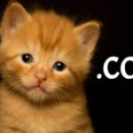 ChatGPT est accessible via une nouvelle adresse et ça a probablement coûté très cher à OpenAI ChatGPT est accessible via une nouvelle adresse et ça a probablement coûté très cher à OpenAI