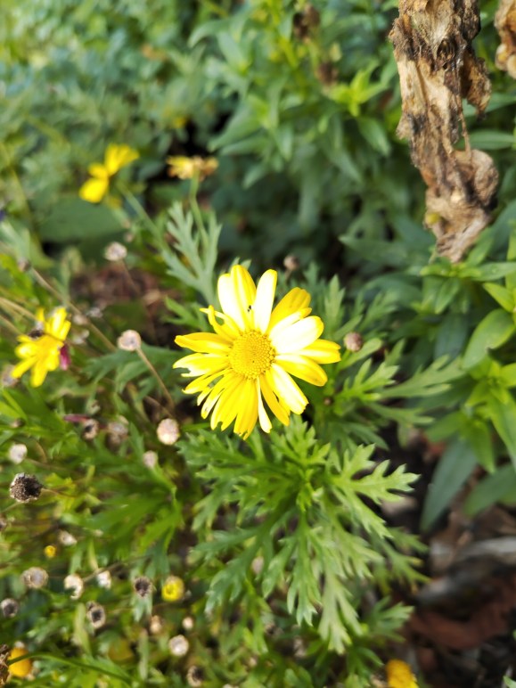 IMG_20241116_154801_HDR