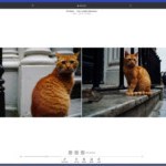 OpenAI Sora est disponible pour tout le monde : fonctionnalités, disponibilité et prix OpenAI Sora est disponible pour tout le monde : fonctionnalités, disponibilité et prix