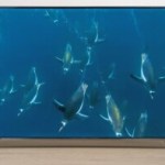 La bonne affaire du jour, c’est ce TV 4K QLED immense de 85 pouces et 144 Hz à moins de 1 000 € 