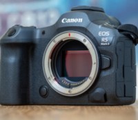 Test du Canon EOS R5 II : nouveau capteur et autofocus d&rsquo;exception pour des images exceptionnelles