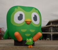 DuoLingo reprend vie