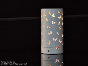 IMG_20250228_152320885