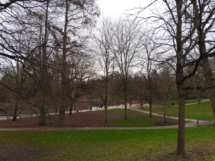 IMG20250125110859