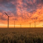 Être payé pour consommer de l&rsquo;électricité : la promesse folle de Frank Energie (et son piège caché)