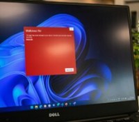Les antivirus en 2025 : pourquoi c&rsquo;est inutile de les payer
